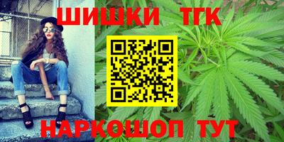 индика Железногорск