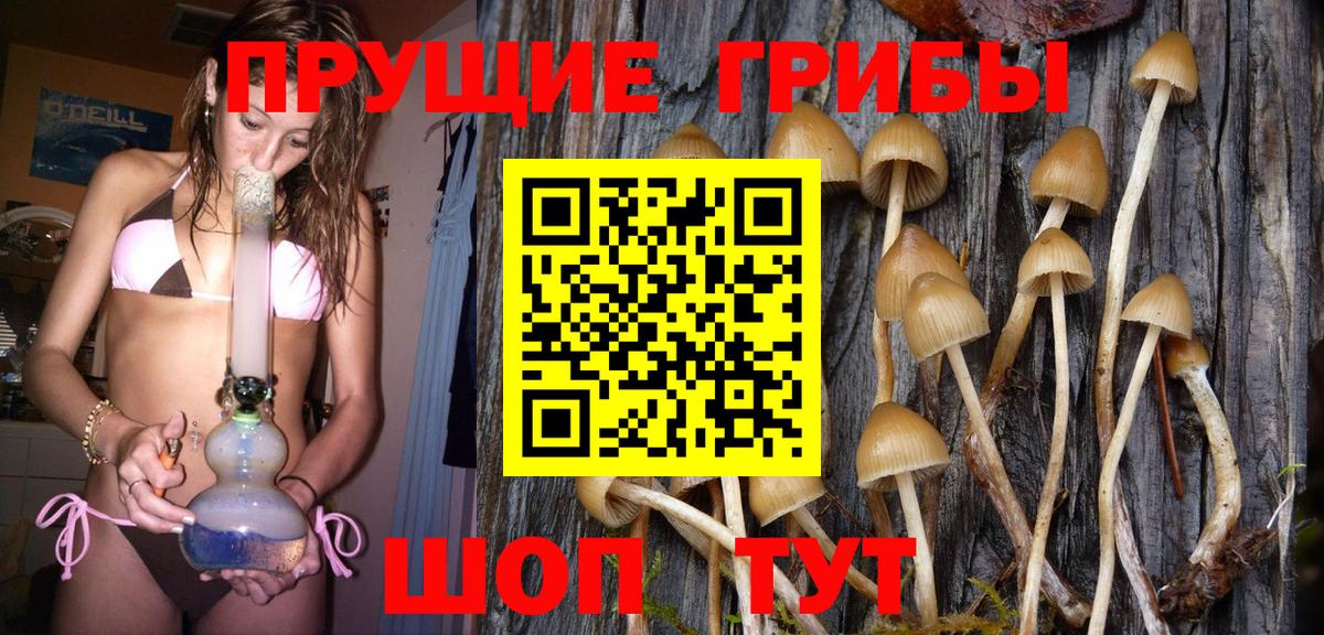 Галлюциногенные грибы мухоморы Чехов
